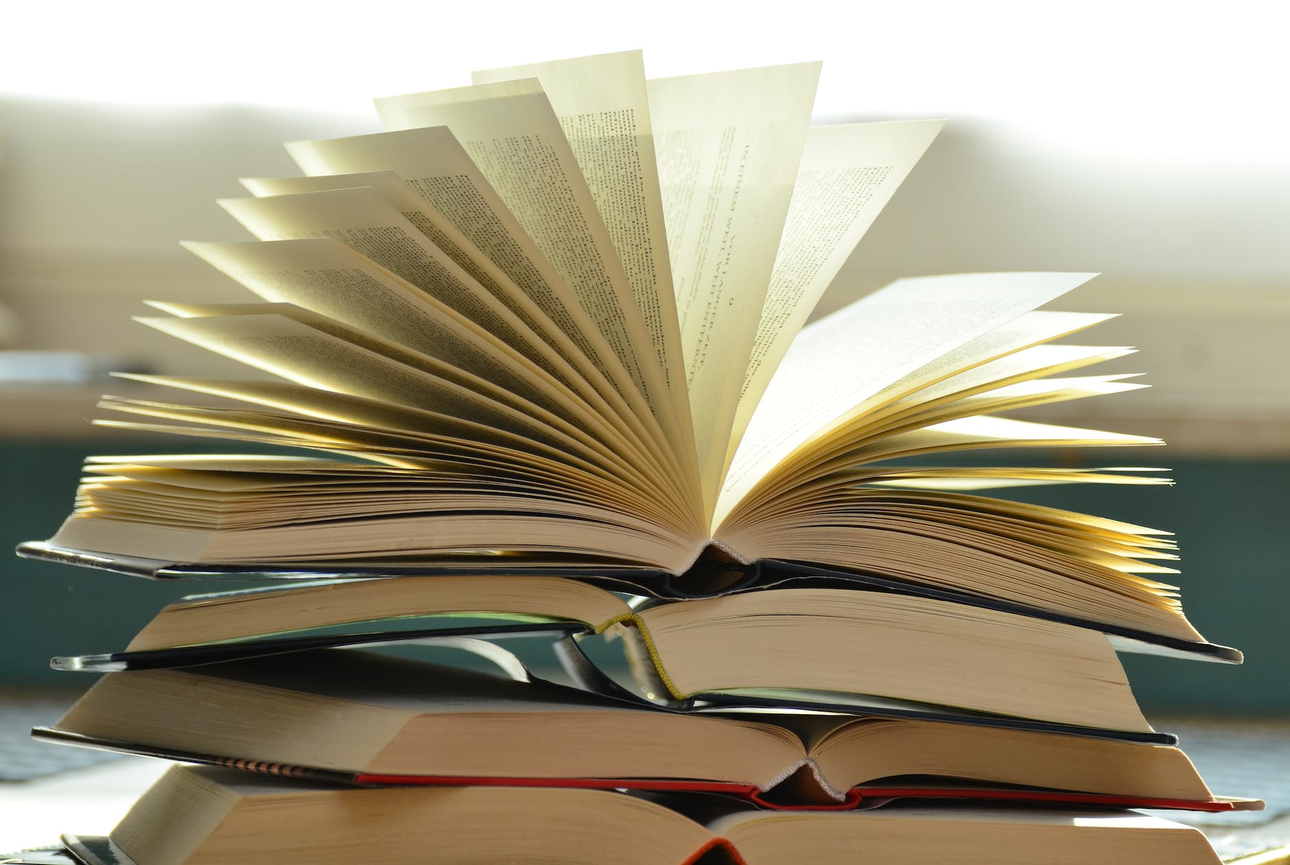 Books I Read in August & September
