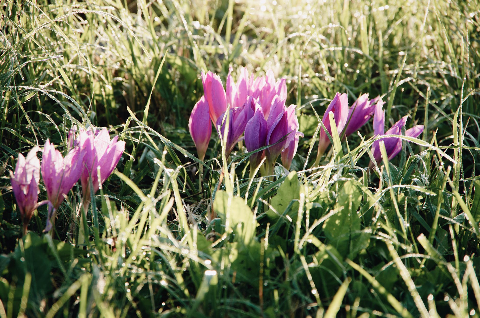 Featured Poem of March