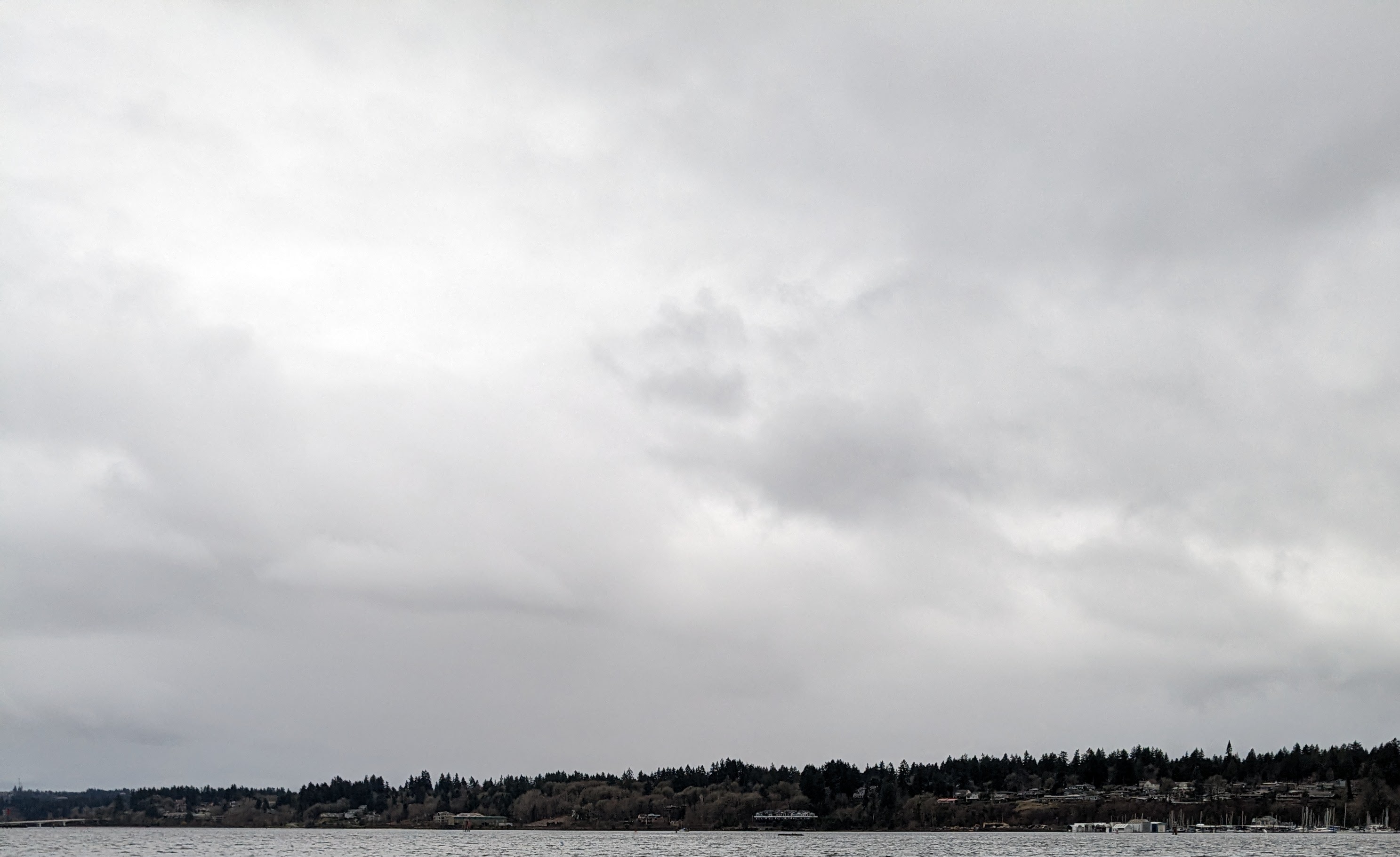 Washington Rainstorm